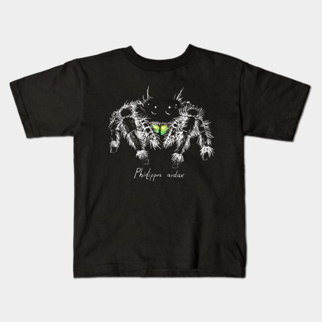 Phidippus audax Kids T-Shirt by Meganopteryx